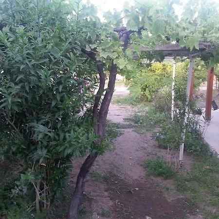Ev Holiday home Gumusluk